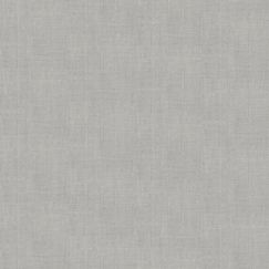Papel-de-Parede-Colecao-Star-L908-19